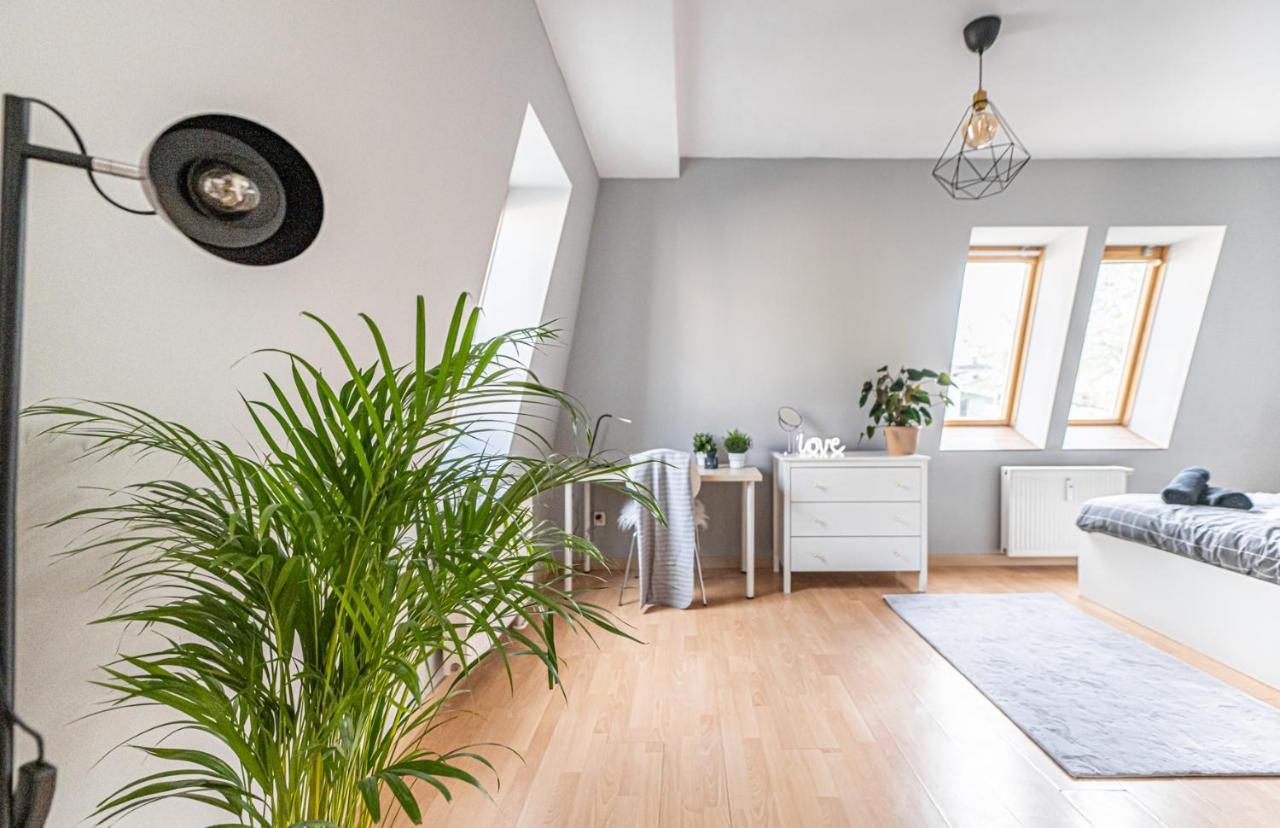 Niceone Apartment Number 7 - W Samym Centrum! Breslávia Exterior foto
